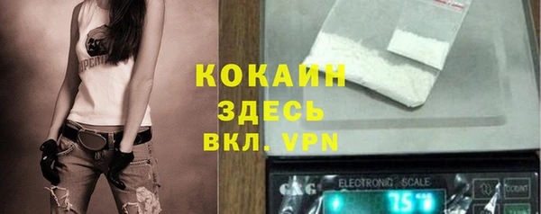 спайс Алзамай