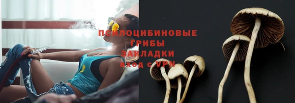 спайс Алзамай