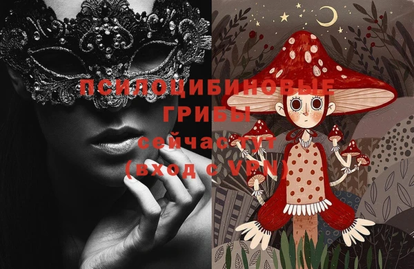 спайс Алзамай