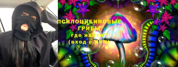 спайс Алзамай