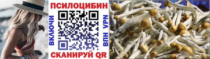 Галлюциногенные грибы Psilocybe  Арзамас 